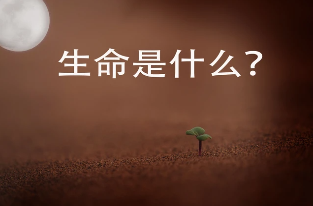 生命是什么?生命的意义又是什么?